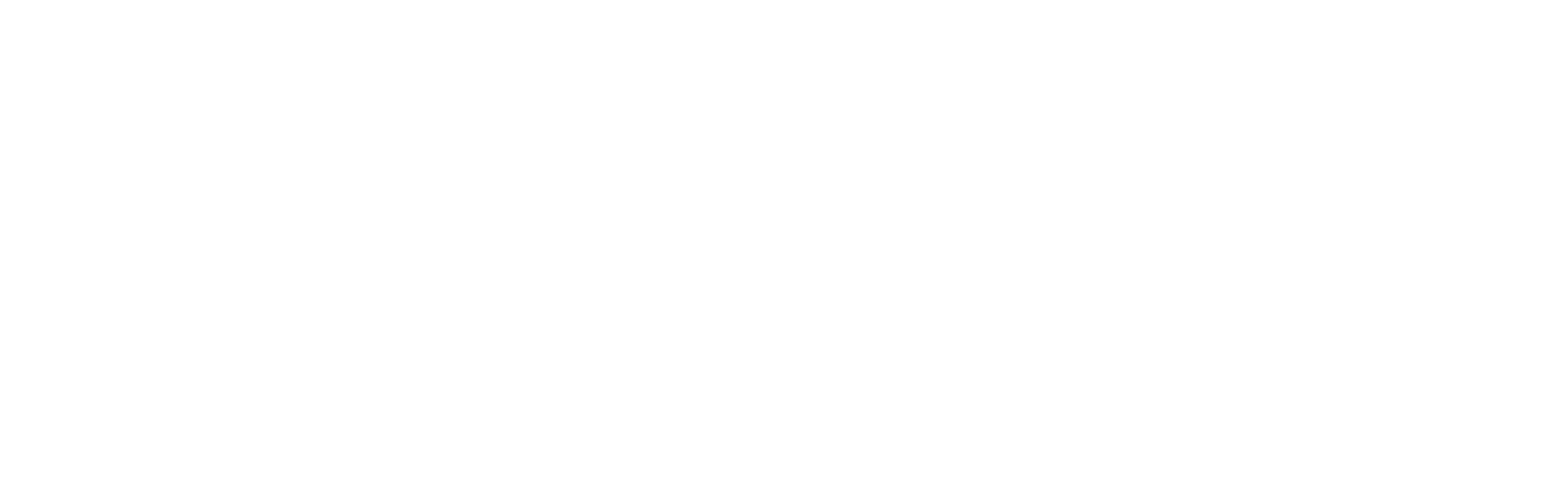 Fackelträger Schweiz